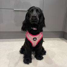 Load image into Gallery viewer, Pink Hearts Adjustable Harness