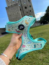 Load image into Gallery viewer, Dinopaws Adjustable Harness