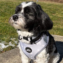 Load image into Gallery viewer, Grey Hearts Adjustable Harness