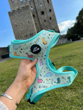 Load image into Gallery viewer, Dinopaws Adjustable Harness