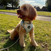 Load image into Gallery viewer, Daisy Adjustable Harness