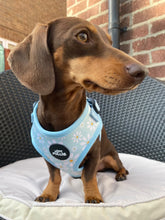 Load image into Gallery viewer, Daisy Adjustable Harness