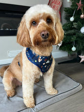 Load image into Gallery viewer, Puppy Potter Adjustable Harness