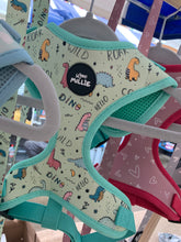 Load image into Gallery viewer, Dinopaws Adjustable Harness