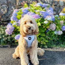 Load image into Gallery viewer, Grey Hearts Adjustable Harness