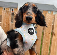Load image into Gallery viewer, Daisy Adjustable Harness