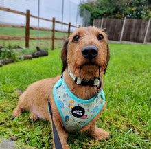 Load image into Gallery viewer, Dinopaws Adjustable Harness