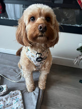 Load image into Gallery viewer, Safari Adjustable Harness