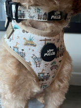 Load image into Gallery viewer, Safari Adjustable Harness