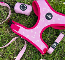Load image into Gallery viewer, Pink Hearts Adjustable Harness