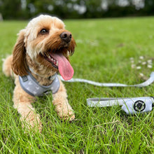Load image into Gallery viewer, Grey Hearts Dog Lead

