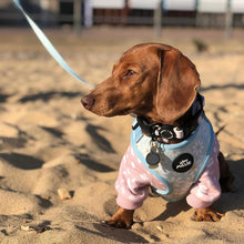 Load image into Gallery viewer, Daisy Dog Lead
