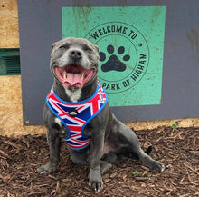 Load image into Gallery viewer, Union Jack Adjustable Harness
