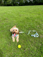 Load image into Gallery viewer, Daisy Dog Lead
