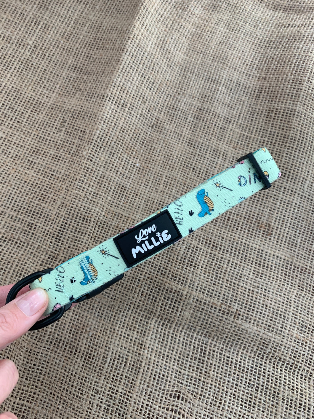 Dinopaws Dog Collar