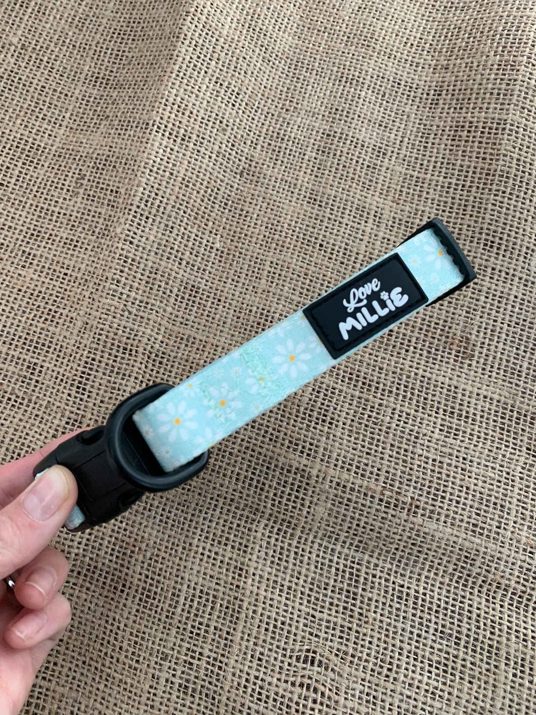 Daisy Dog Collar