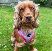 Load image into Gallery viewer, Pink Hearts Adjustable Harness
