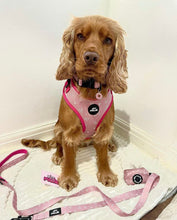 Load image into Gallery viewer, Pink Hearts Dog Lead

