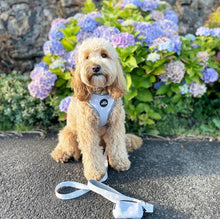 Load image into Gallery viewer, Grey Hearts Dog Lead
