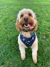Load image into Gallery viewer, Puppy Potter Dog Collar
