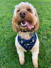 Load image into Gallery viewer, Puppy Potter Adjustable Harness
