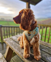 Load image into Gallery viewer, Dinopaws Adjustable Harness
