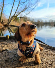 Load image into Gallery viewer, Puppy Potter Adjustable Harness
