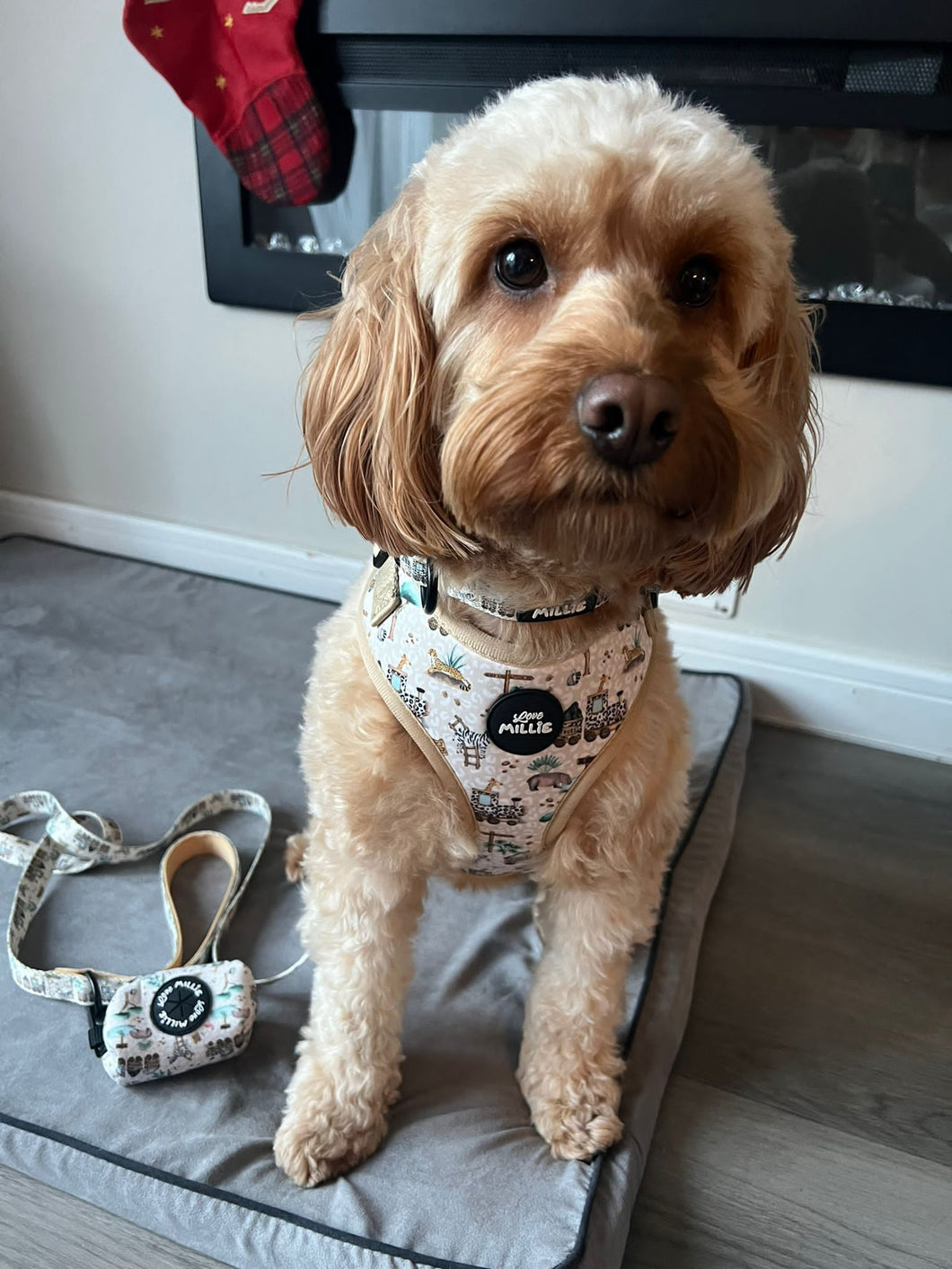 Safari Dog Poo Bag Holder