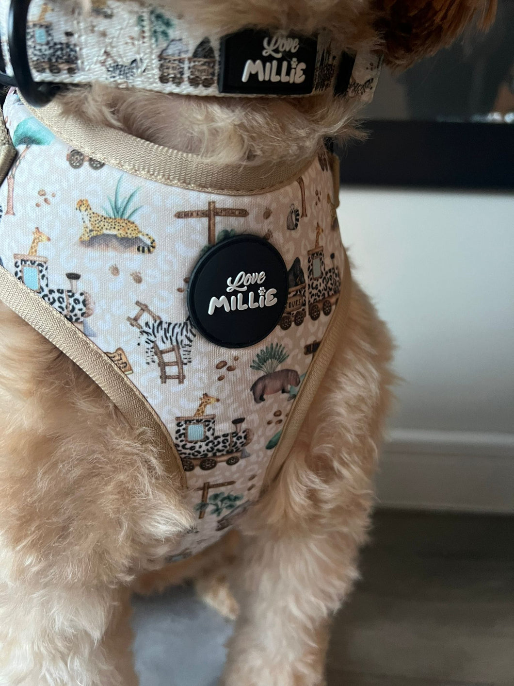 Safari Dog Collar