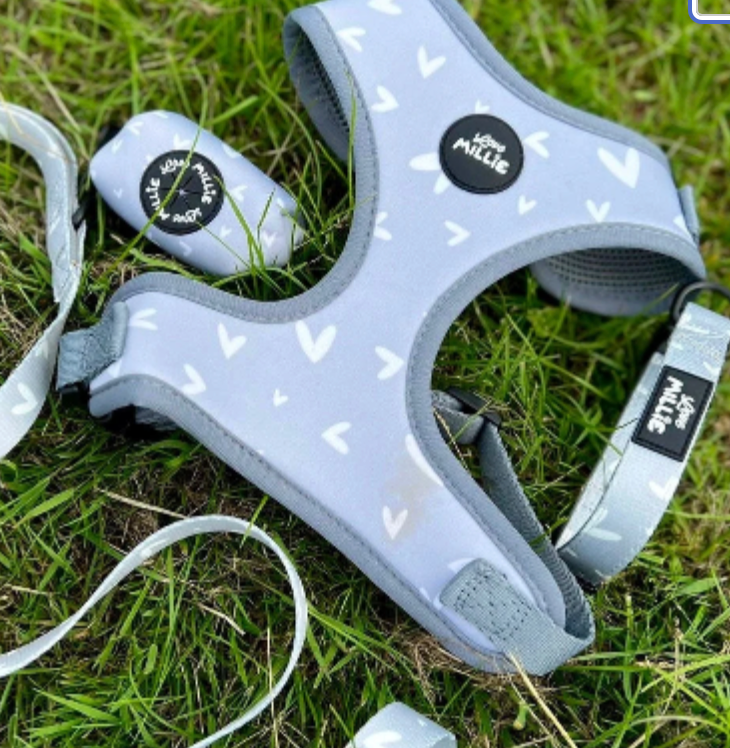 Grey Hearts Adjustable Harness