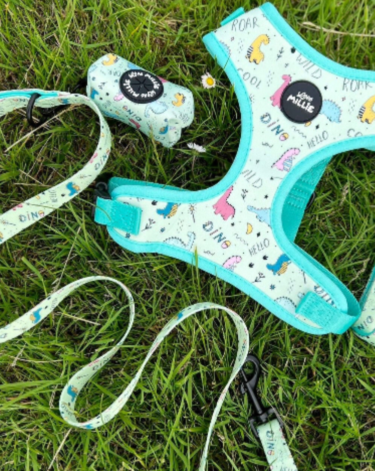 Dinopaws Dog Lead