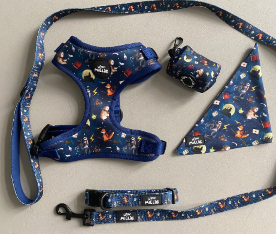 Puppy Potter Dog Collar